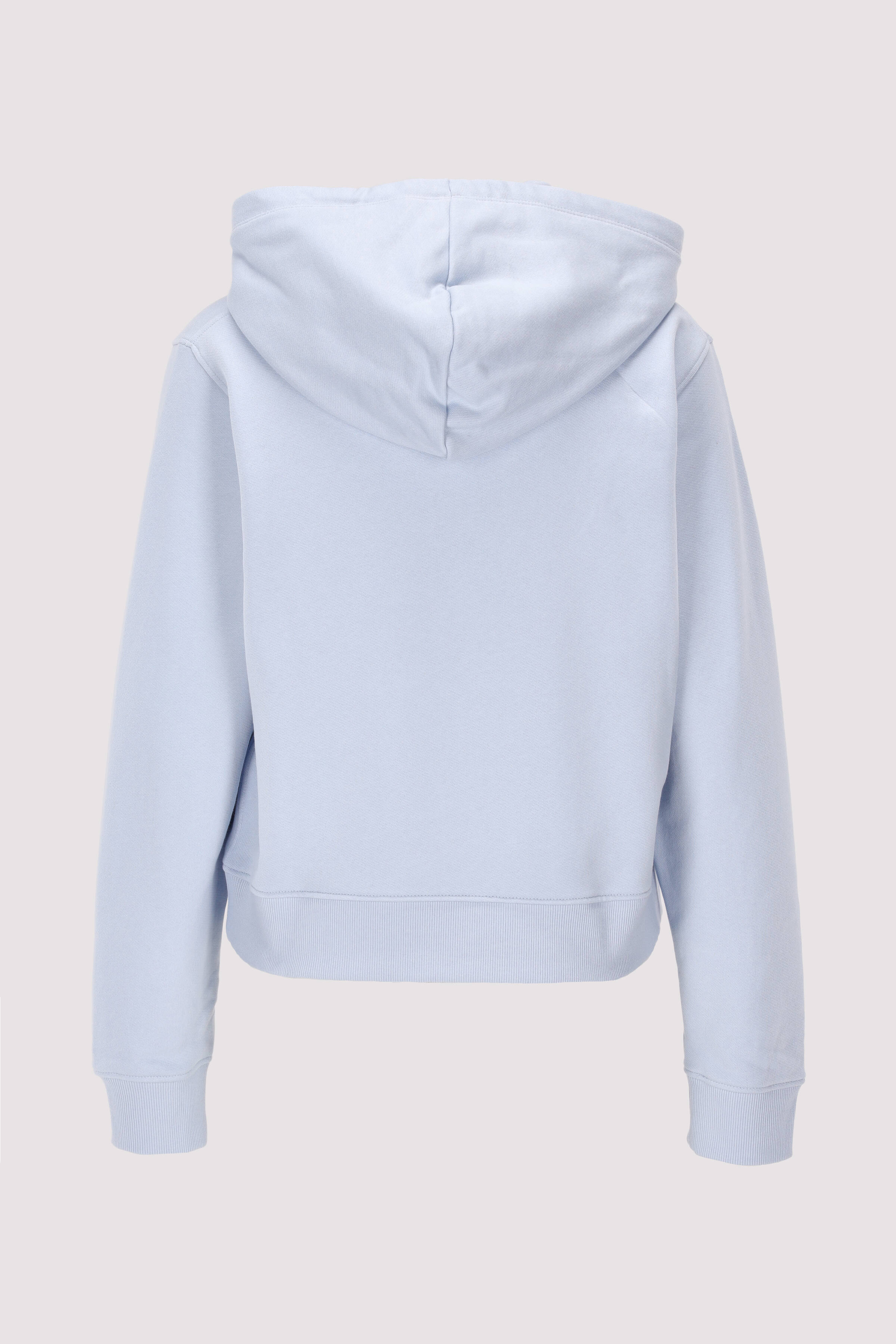 REG FROSTED CORP LOGO HOODIE